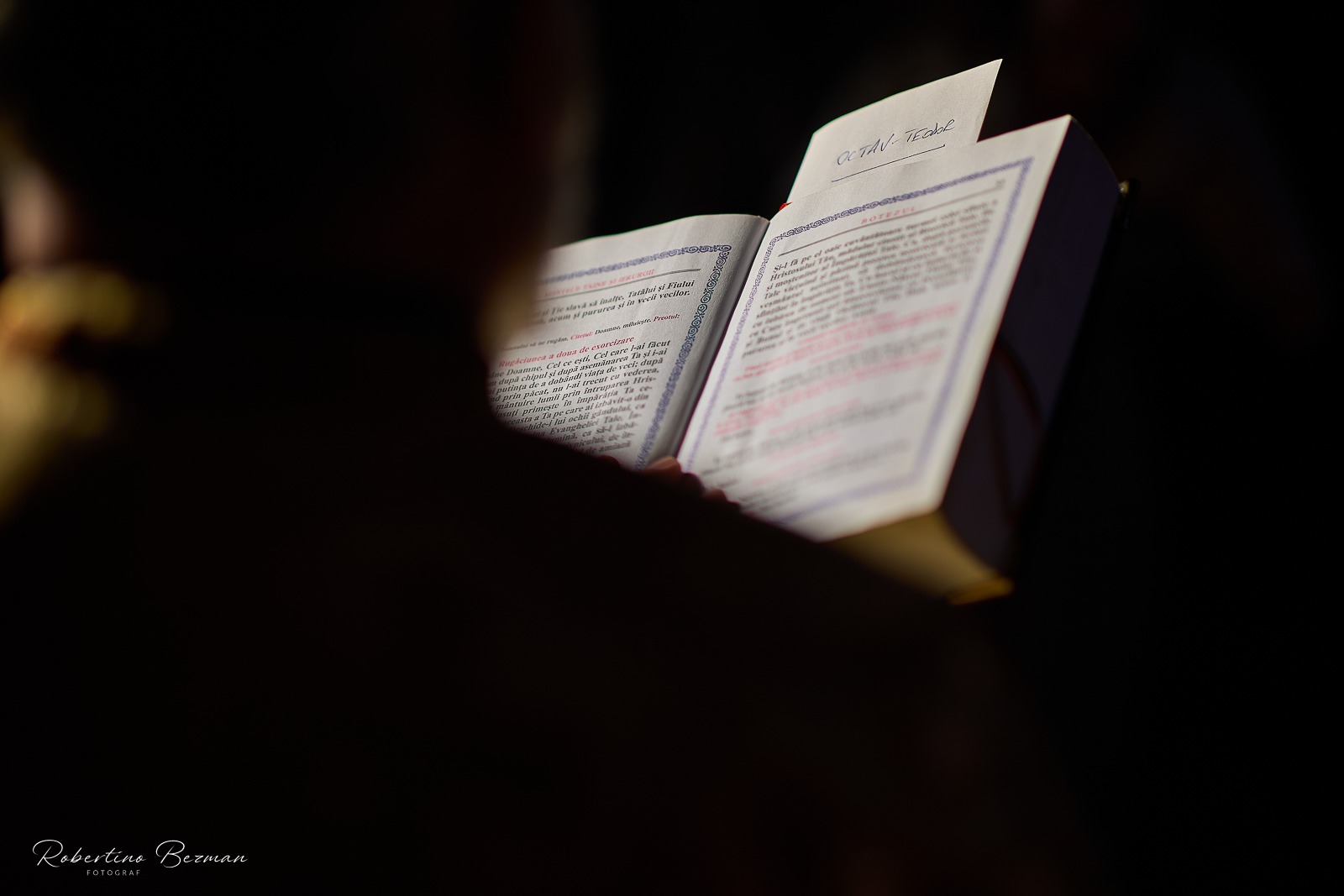 fotograf profesionist de nunta logodna cununie civila religioasa sedinte foto in studio portrete fotografie boudoir nud erotic sedinta foto de maternitate cu burtica gravida