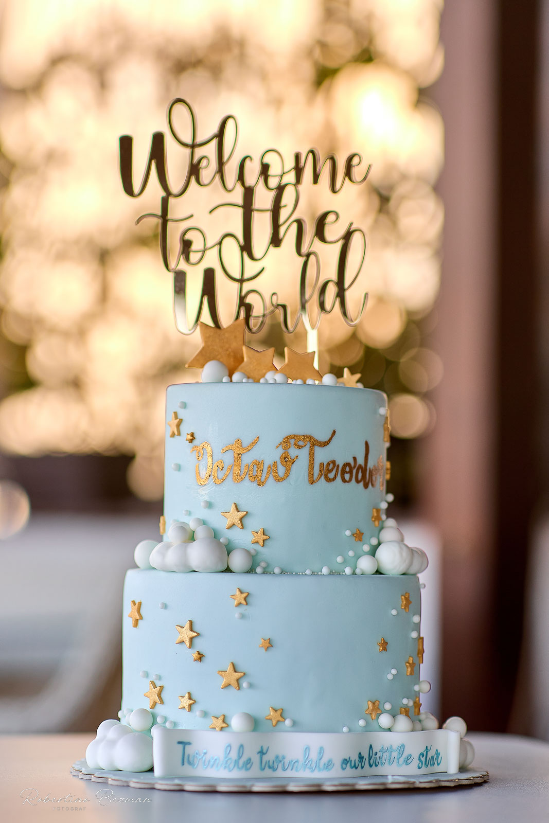 fotograf profesionist de nunta logodna cununie civila religioasa sedinte foto in studio portrete fotografie boudoir nud erotic sedinta foto de maternitate cu burtica gravida