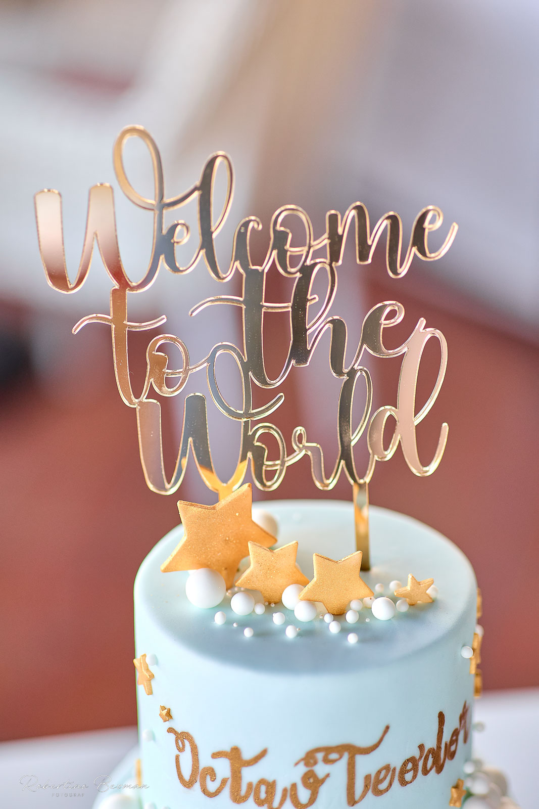 fotograf profesionist de nunta logodna cununie civila religioasa sedinte foto in studio portrete fotografie boudoir nud erotic sedinta foto de maternitate cu burtica gravida